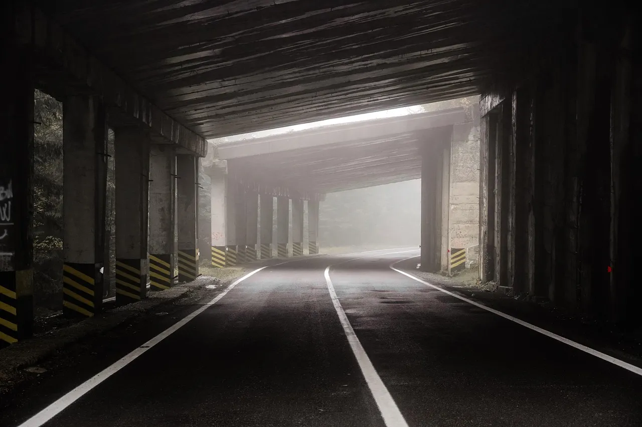 Renovar el carnet en málaga gracias a Semedi Salud